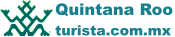 Logo Turista